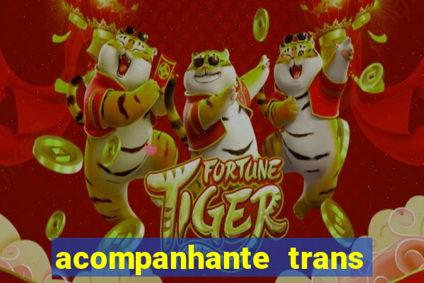 acompanhante trans porto alegre